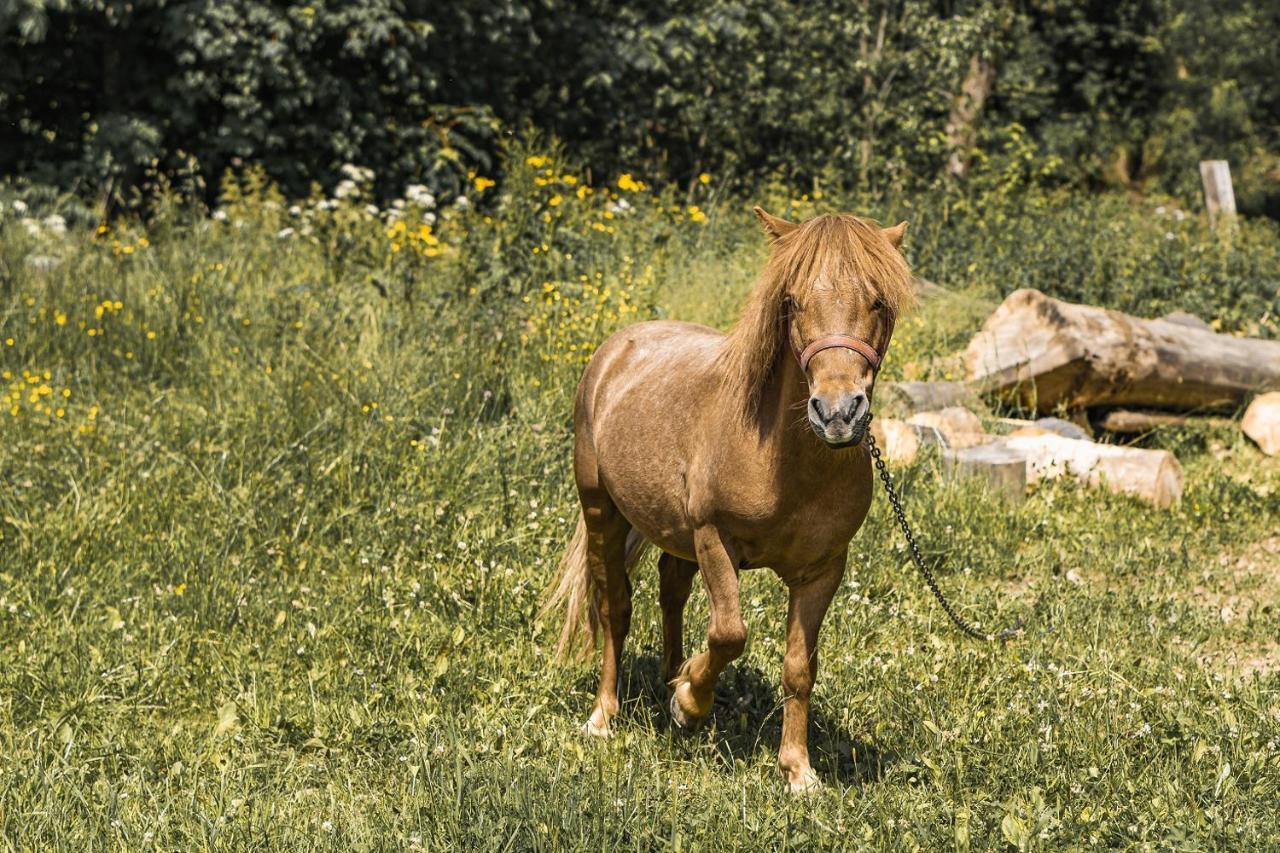 Dw Maria 2 Nocleg ze śniadaniem Zakopane