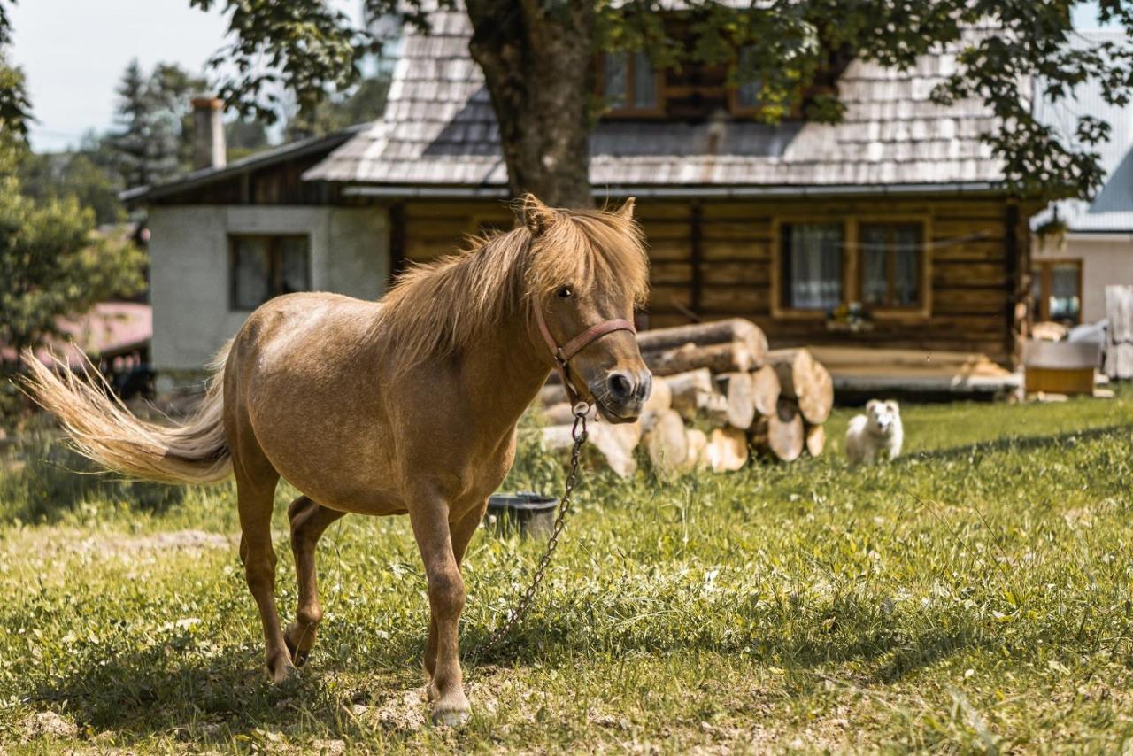 Nocleg ze śniadaniem Dw Maria 2 *